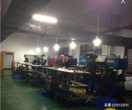 想在農村投資10 20萬開個加工廠,雇傭10個幫工,做什么產品有前景