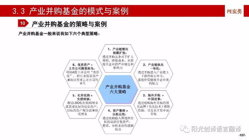 干貨 產業基金的建立 投資 投后管理及風險控制 下