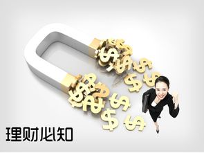新手如何做好個人投資理財規劃